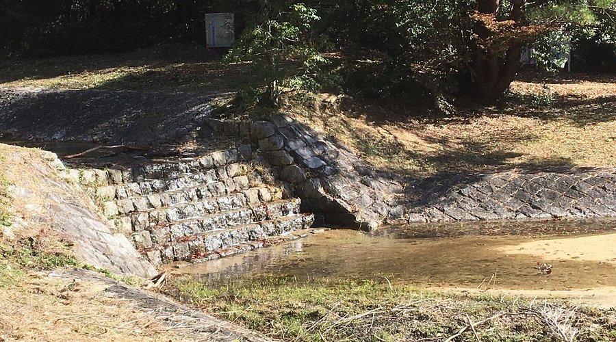 🏞️ 부동천 사방 역사 공원(후도가와 사보 레키시 코엔) 이미지 1